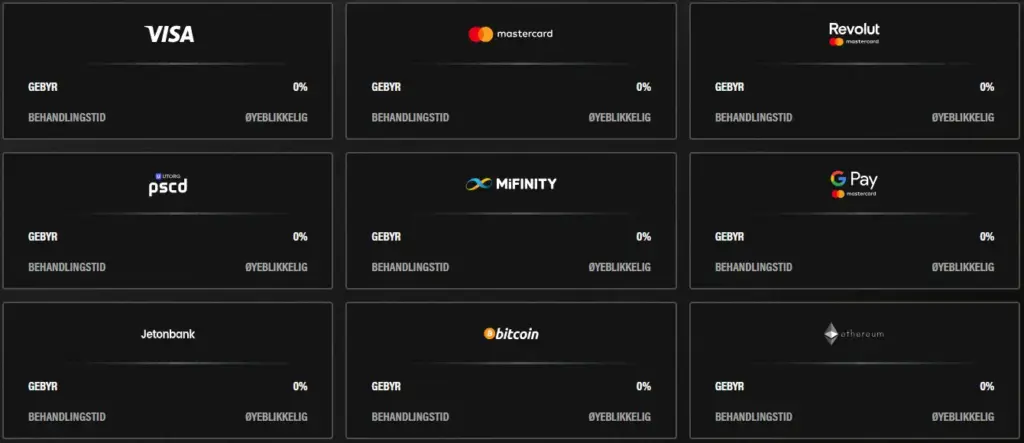Noen av de tilgjengelige betalingsmetodene som er oppført.